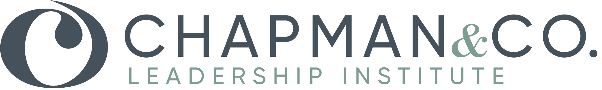 chapman&co company logo in blue color font